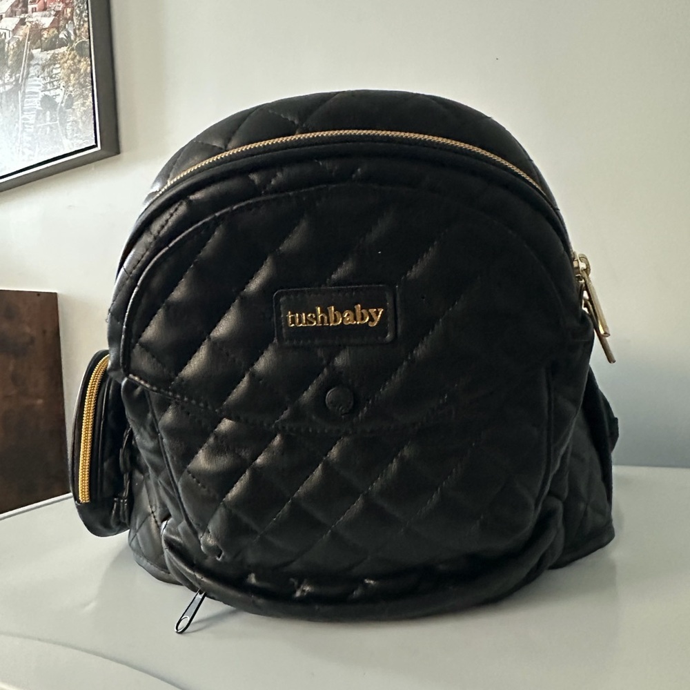 Tushbaby Hip Carrier
